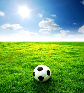 极速体育 App二维码